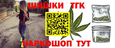 МДПВ Славгород