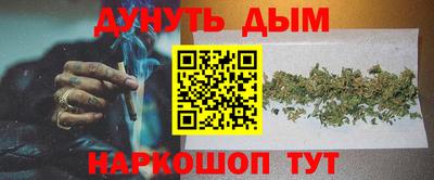 МДПВ Славгород