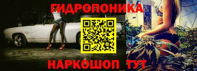 mdma Сланцы